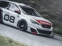 Peugeot 308 Racing Cup (2016)