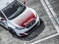 Peugeot 308 Racing Cup (2016)