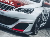 Peugeot 308 Racing Cup (2016)