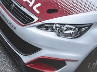 Peugeot 308 Racing Cup (2016)