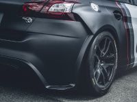 Peugeot 308 Racing Cup (2016)