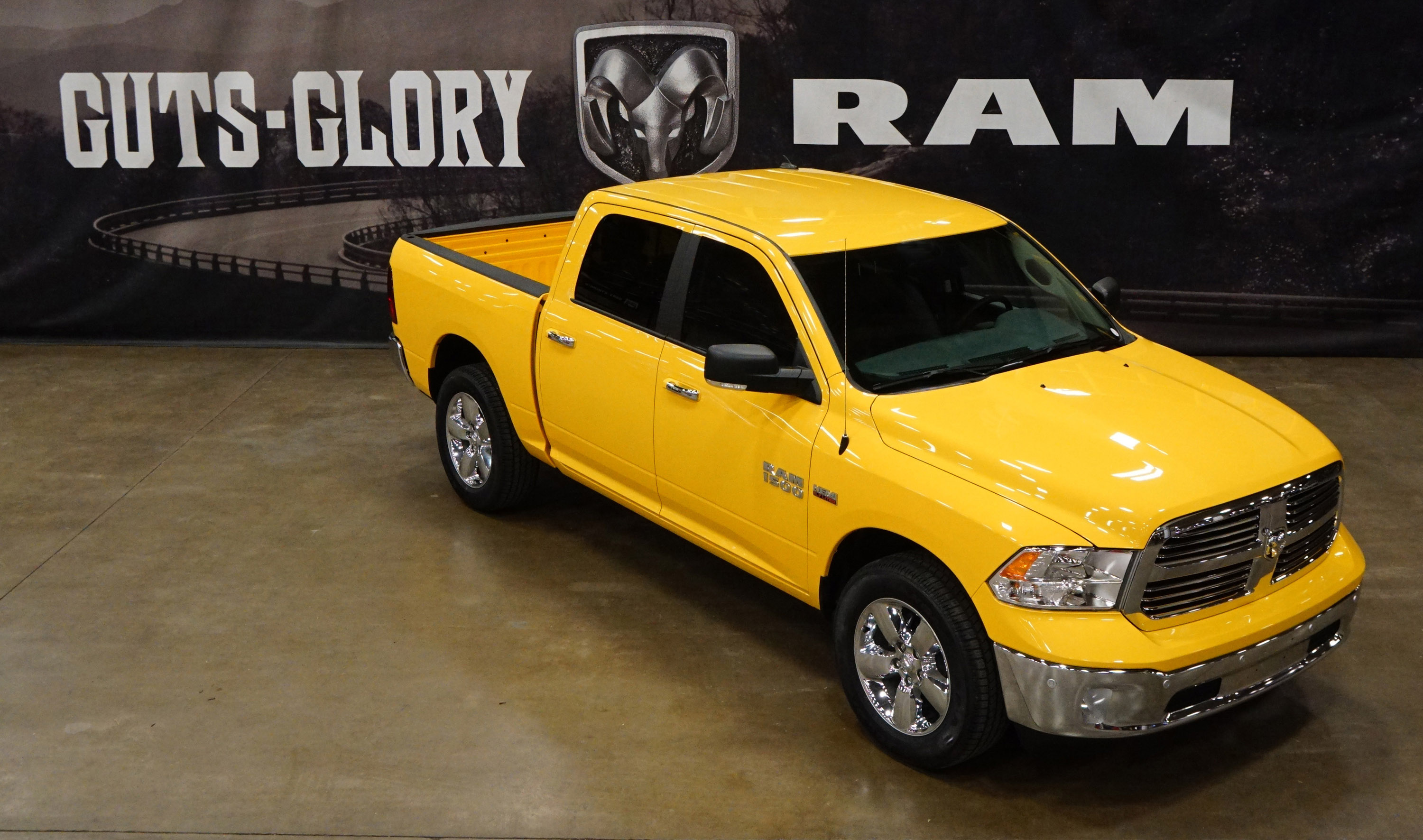 Ram Yellow Rose of Texas