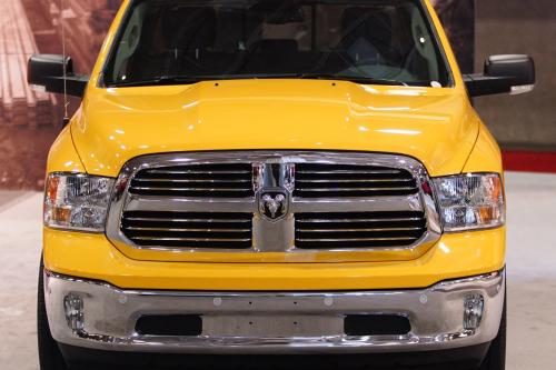 Ram Yellow Rose of Texas (2016) - picture 1 of 5