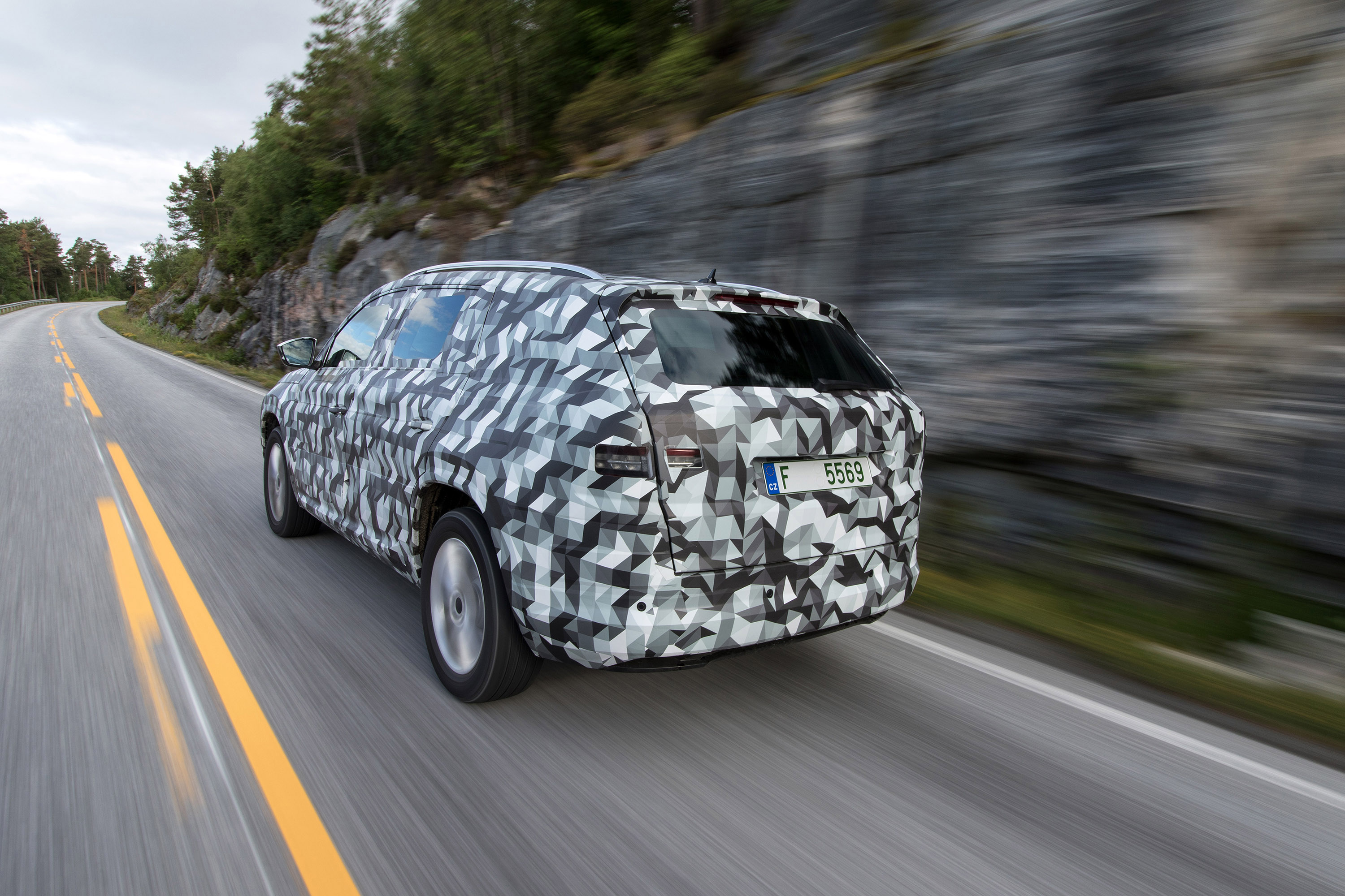 Skoda Kodiaq SUV Covered