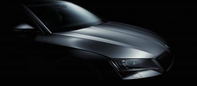 Skoda Superb (2016) - picture 15 of 28