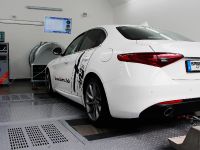 SPEED-BUSTER Alfa Romeo Giulia (2016) - picture 2 of 3