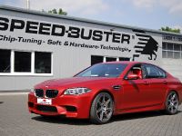 Speed Buster BMW M5 F10 (2016) - picture 1 of 5