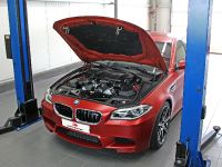 Speed Buster BMW M5 F10 (2016) - picture 5 of 5