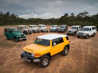 Toyota FJ Cruiser (2016) - picture 7 of 10