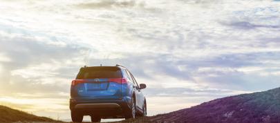 Toyota RAV4 Hybrid (2016) - picture 23 of 53