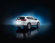 Toyota RAV4 Hybrid (2016) - picture 21 of 53