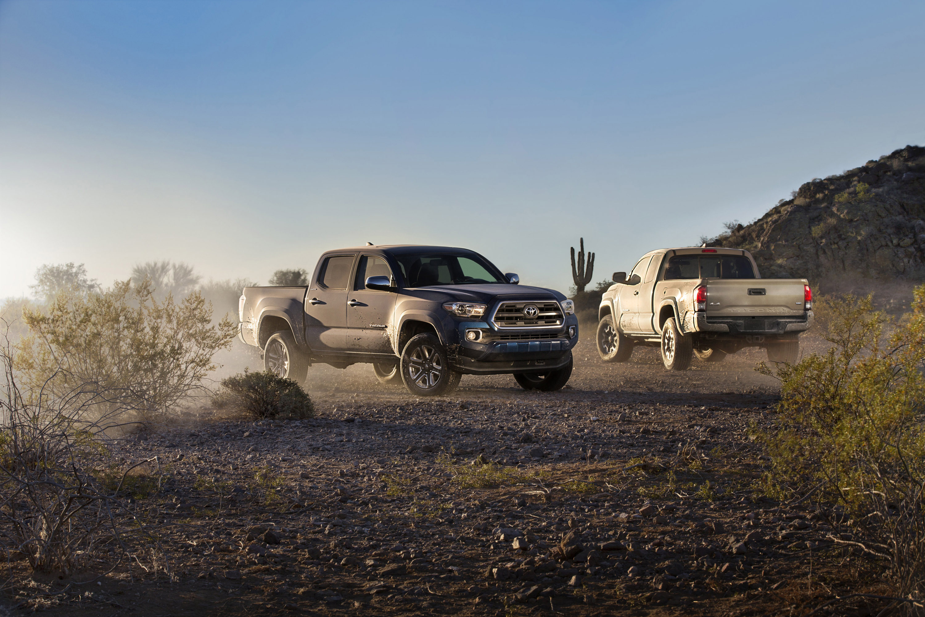 Toyota Tacoma Family