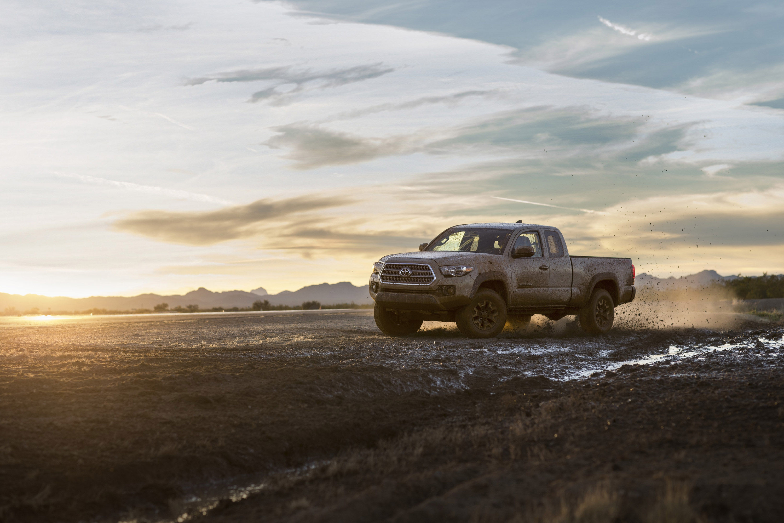 Toyota Tacoma Family