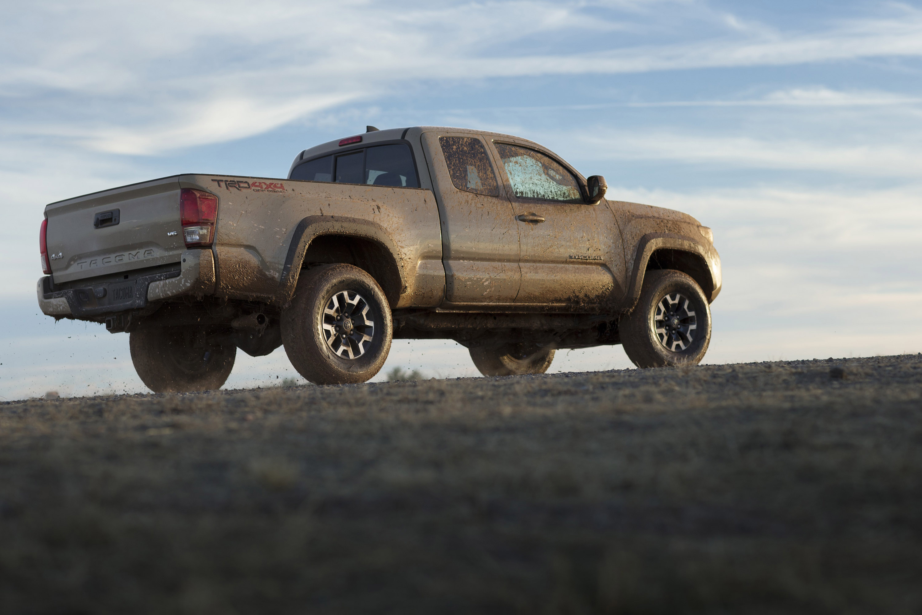 Toyota Tacoma Family