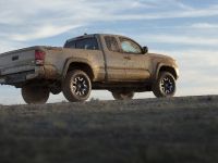Toyota Tacoma Family (2016) - picture 3 of 7