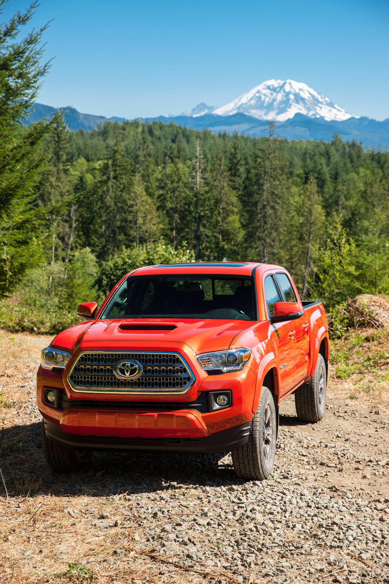 Toyota Tacoma