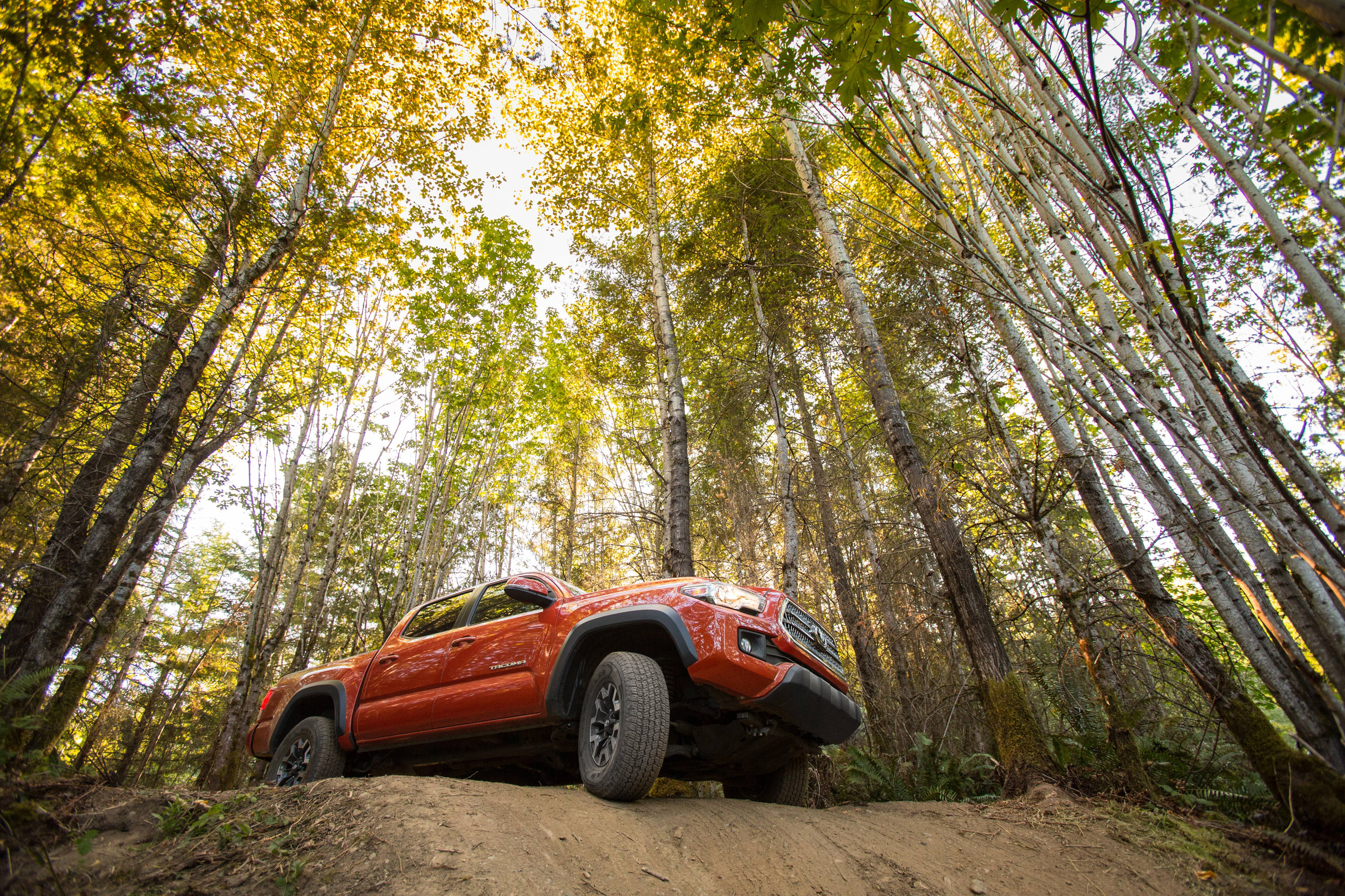 Toyota Tacoma