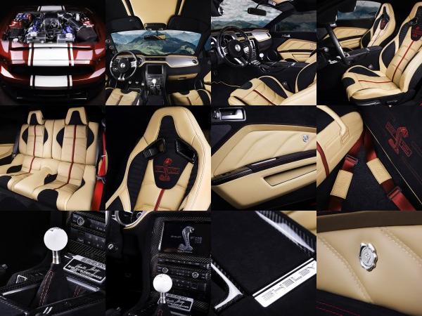 Vilner Shelby Mustang GT500 Super Snake Anniversary Edition (2016) - picture 1 of 17