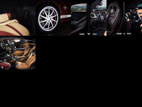 Vilner Shelby Mustang GT500 Super Snake Anniversary Edition (2016) - picture 13 of 17