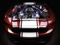 Vilner Shelby Mustang GT500 Super Snake Anniversary Edition (2016) - picture 1 of 17