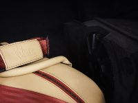 Vilner Shelby Mustang GT500 Super Snake Anniversary Edition (2016)