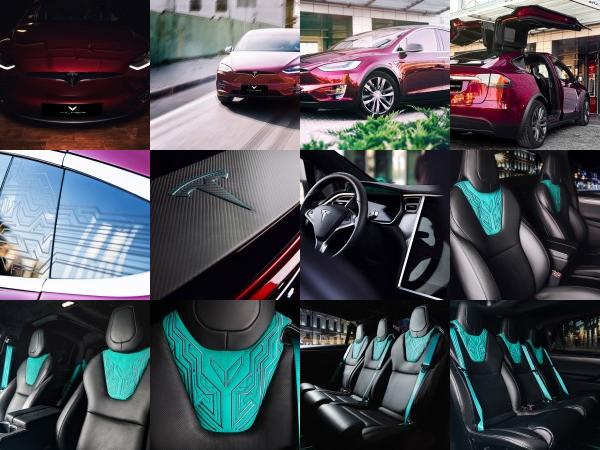 Vilner Tesla Model X P90D (2016) - picture 1 of 24