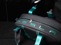 Vilner Tesla Model X P90D (2016)