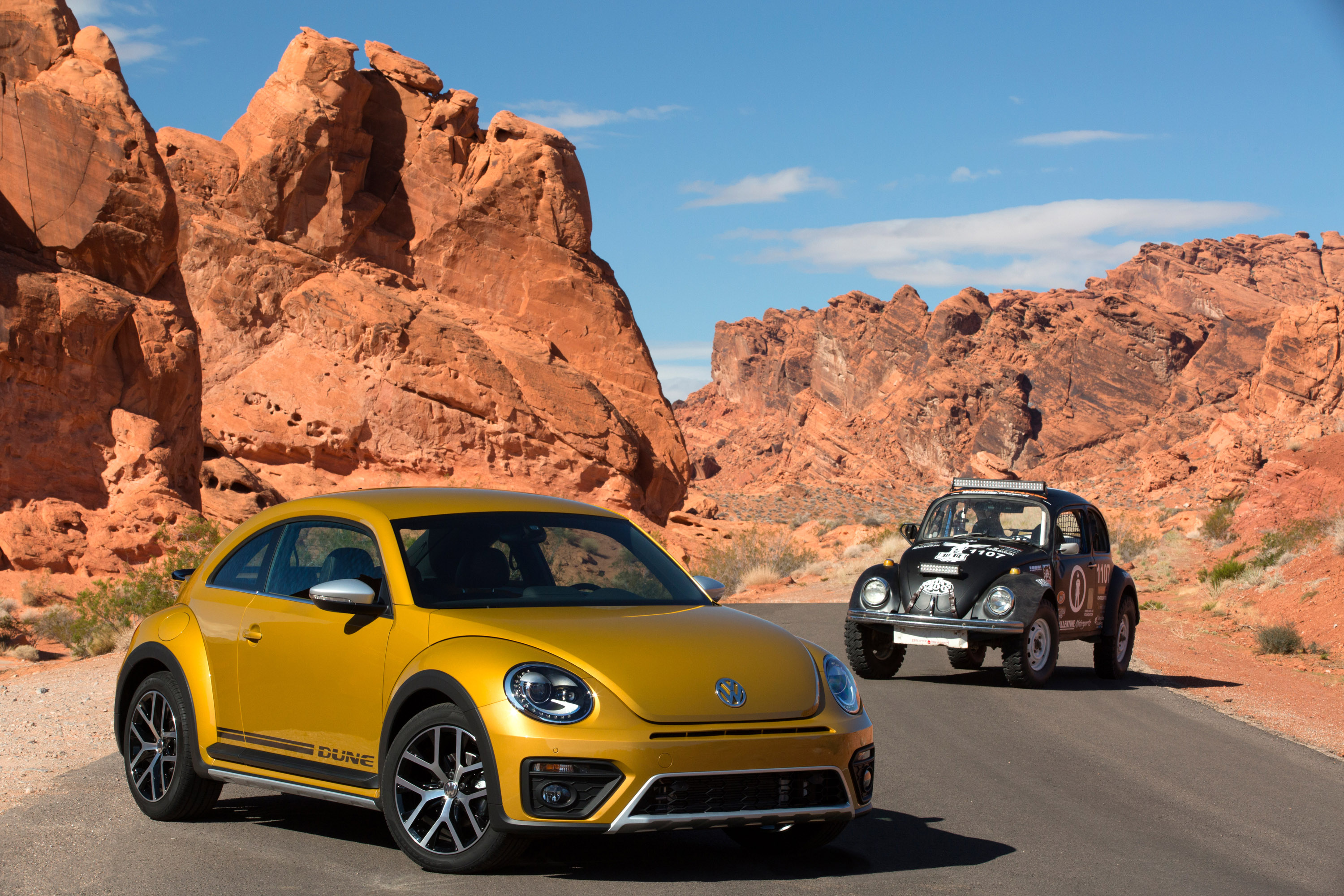 Volkswagen Beetle Dune