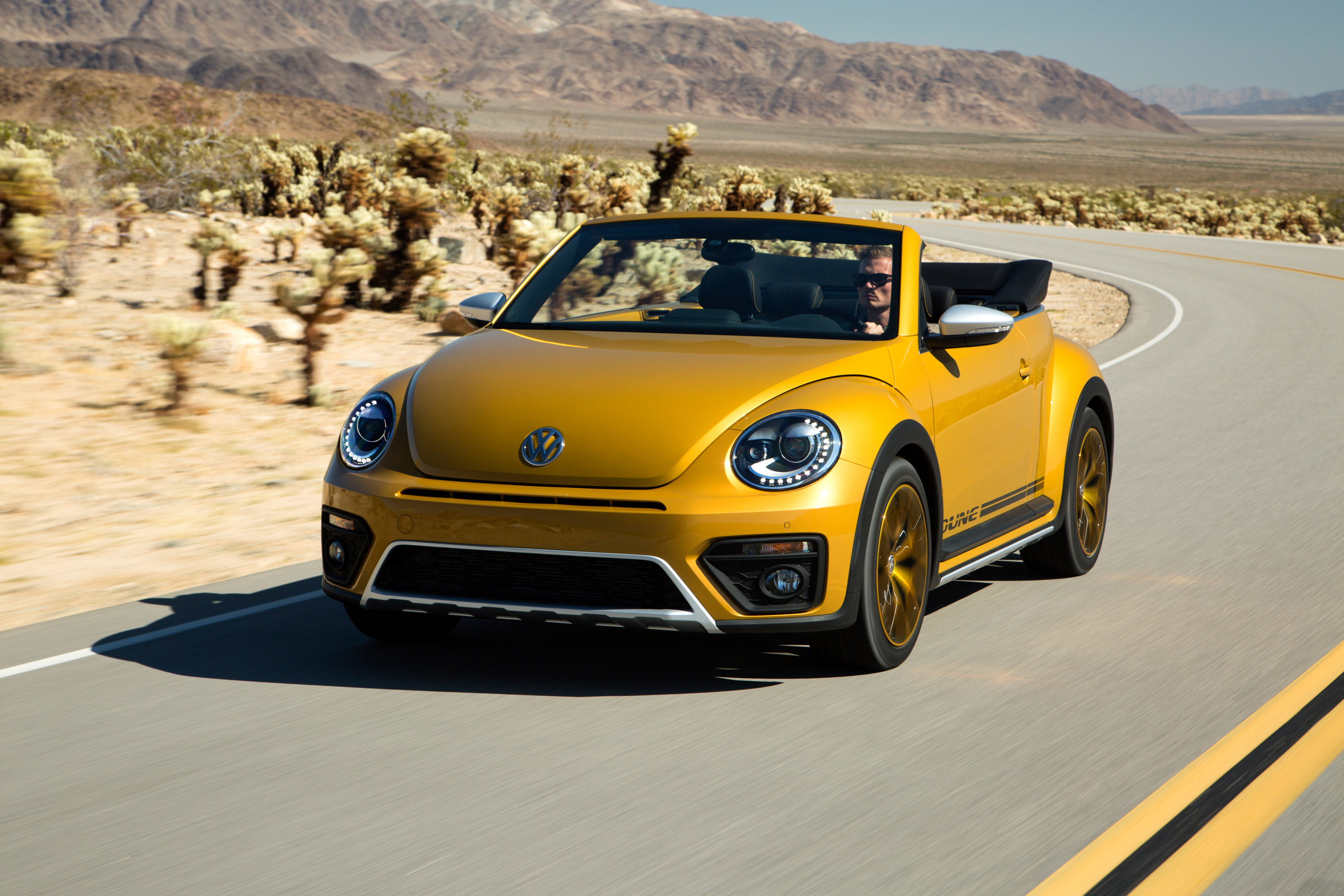 Volkswagen Beetle Dune