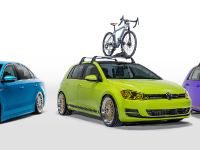 Volkswagen Enthusiast Vehicle Fleet (2016)