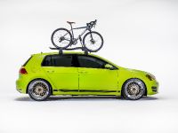 Volkswagen Enthusiast Vehicle Fleet (2016)