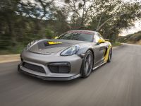 Vorsteiner Porsche GT4 (2016) - picture 4 of 68