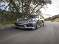 Vorsteiner Porsche GT4 (2016) - picture 5 of 68