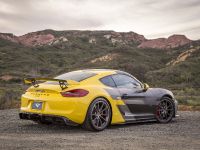 Vorsteiner Porsche GT4 (2016)