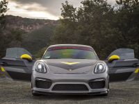 Vorsteiner Porsche GT4 (2016)