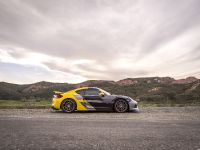 Vorsteiner Porsche GT4 (2016)