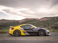 Vorsteiner Porsche GT4 (2016)