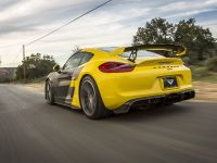 Vorsteiner Porsche GT4 (2016)