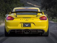 Vorsteiner Porsche GT4 (2016)
