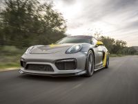 Vorsteiner Porsche GT4 (2016)