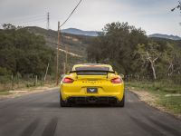 Vorsteiner Porsche GT4 (2016)