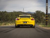 Vorsteiner Porsche GT4 (2016)