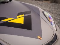 Vorsteiner Porsche GT4 (2016)