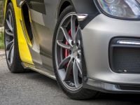 Vorsteiner Porsche GT4 (2016)