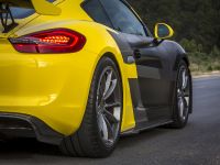 Vorsteiner Porsche GT4 (2016)