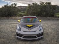 Vorsteiner Porsche GT4 (2016)