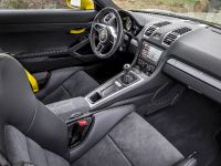 Vorsteiner Porsche GT4 (2016)