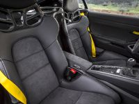 Vorsteiner Porsche GT4 (2016)