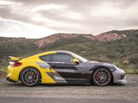 Vorsteiner Porsche GT4 (2016)