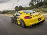 Vorsteiner Porsche GT4 (2016)